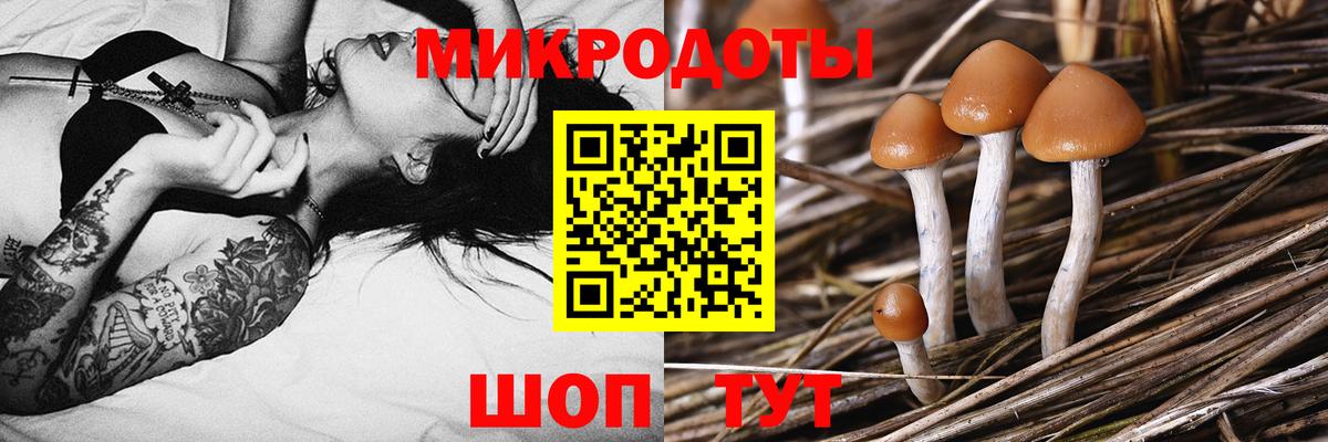 Псилоцибиновые грибы мухоморы Сокол