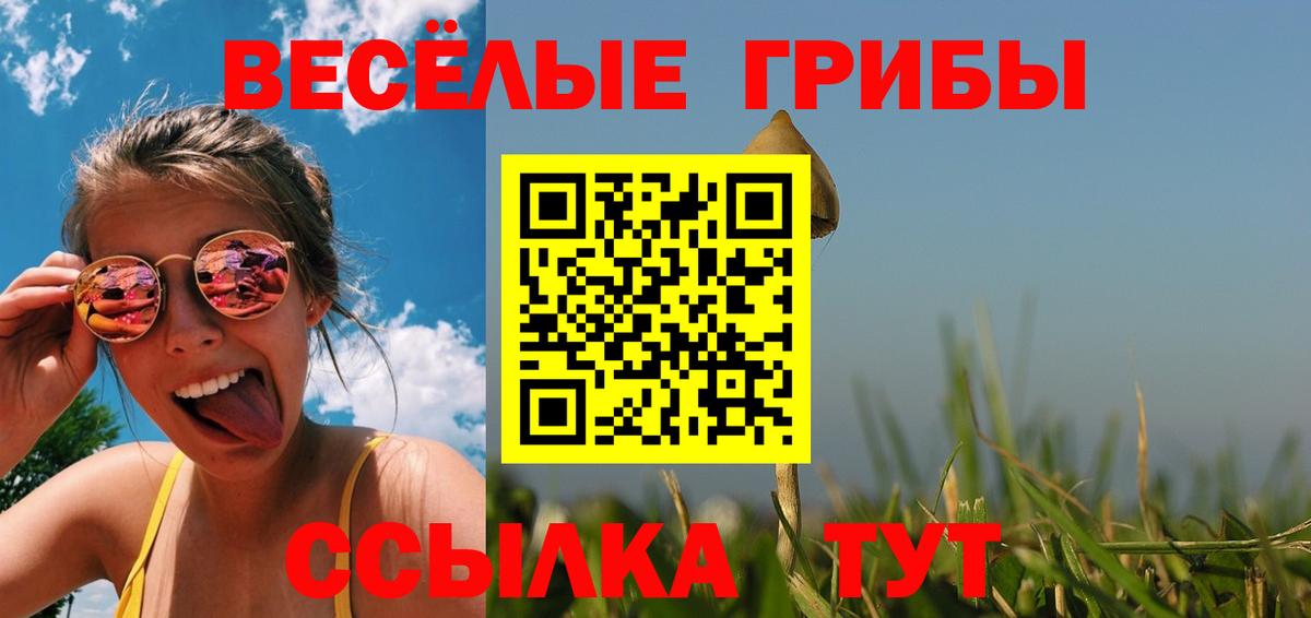 Сокол  Псилоцибиновые грибы мухоморы  Вход с VPN  Галлюциногенные грибы Cubensis 